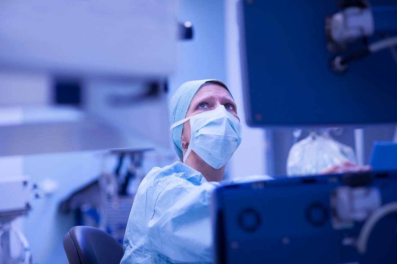 Anestesista comprobando el torrente sanguíneo externo en monito