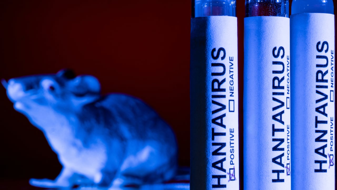This photo taken in Paris on May 11, 2026 shows vials bearing the name of "hantivirus". A deadly hantavirus outbreak on a cruise ship has spurred global concern over the potential spread of the virus among and from ship evacuees as they head back to their home countries. Here are the World Health Organization's main recommendations to limit the transmission risks and to better protect those exposed to the rare virus, which usually spreads among rodents, and for which there is no vaccine or treatment. (Photo by Joel Saget / AFP)