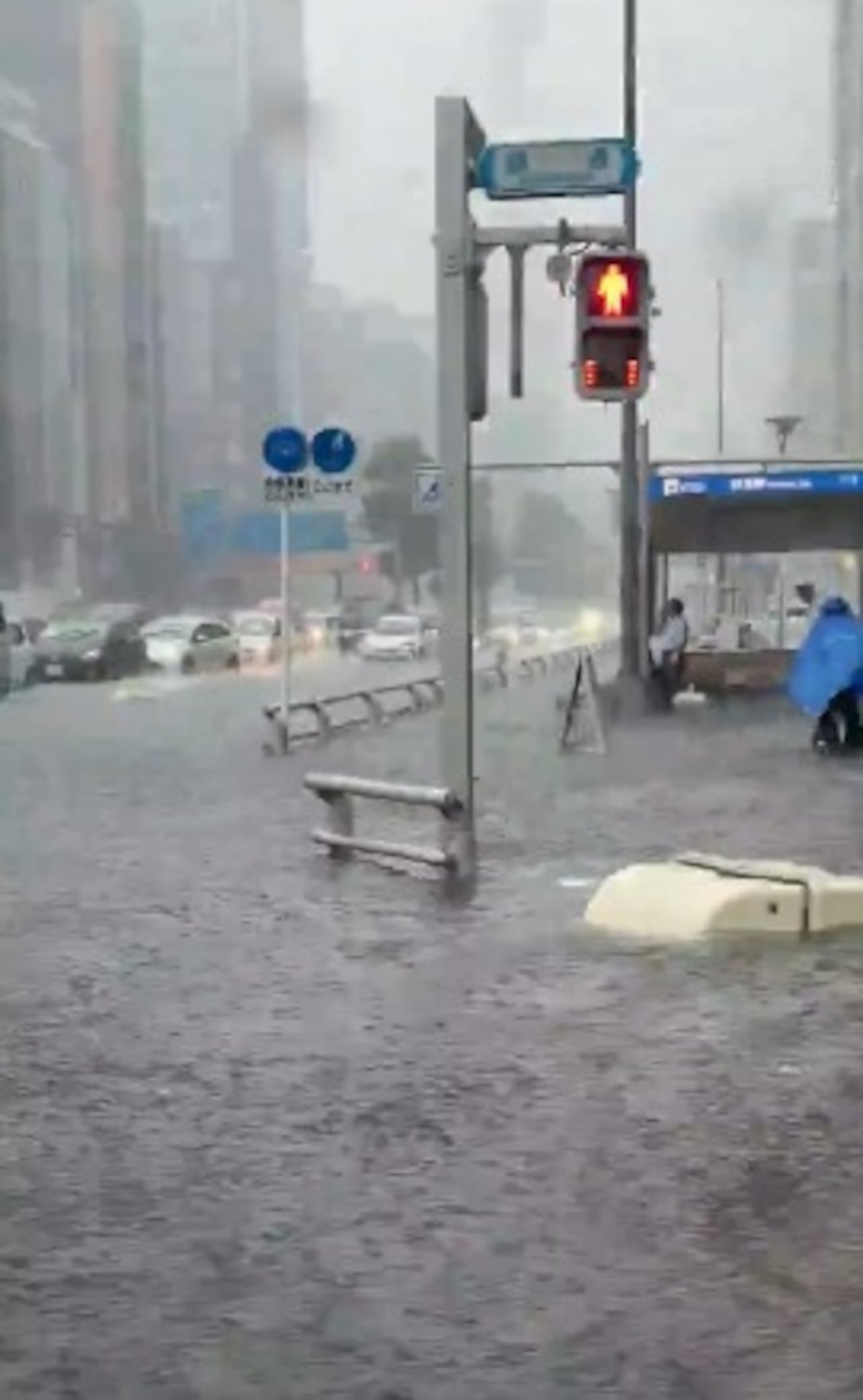 Una lluvia extraordinaria azotó Nagoya, Japón.