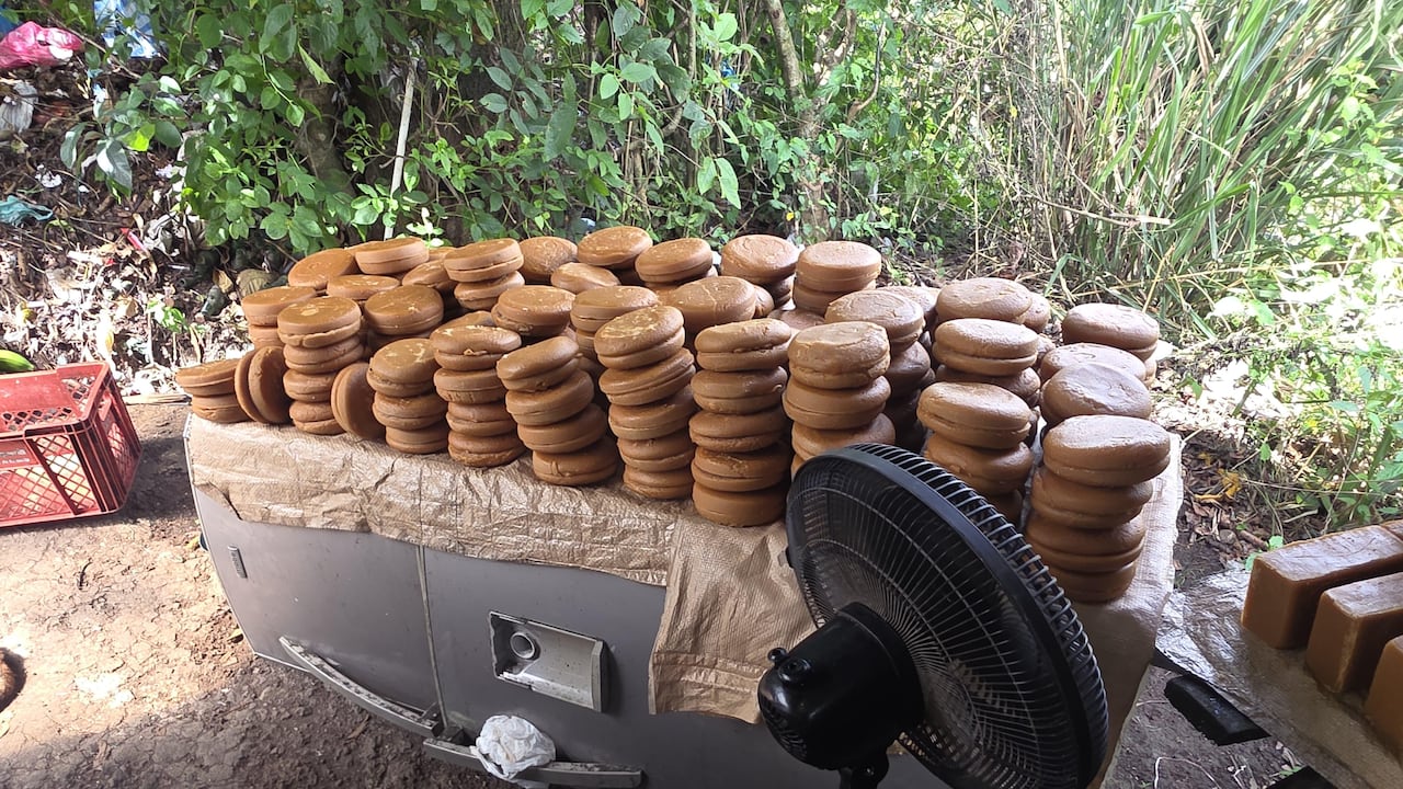 En seis diligencias de allanamiento adelantadas en Sandoná, Nariño, la Policía Nacional capturó a 37 personas señaladas de integrar redes dedicadas a la producción ilegal de panela.