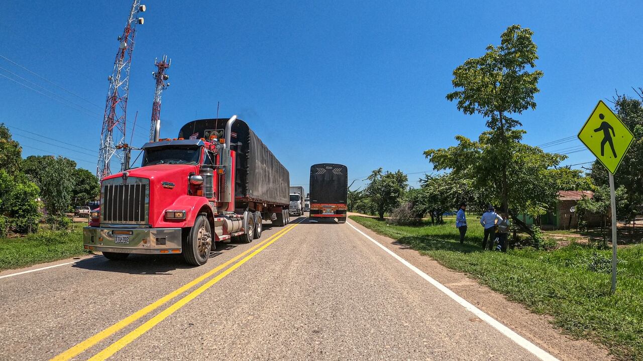 Durante el año 2022, fueron 2.003 las empresas de transporte que movilizan mercancías en 143.762 vehículos, generando 10.571.701 manifiestos de carga.