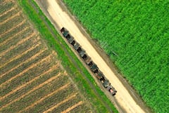 Asocaña. La caña de azúcar, es el gran motor de la economía en el Valle del Cauca. Este sector mueve el 0,7 % del PIB de Colombia, mueve 180.000 empleos. Hay 13 ingenios azucareros en la región, seis de ellos tienen plantas de bioetanol. Foto Jorge Orozco / El País.