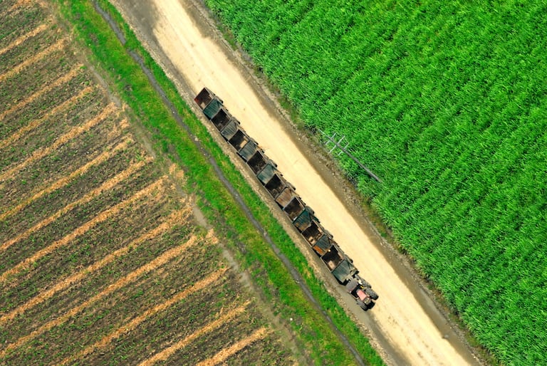 Asocaña. La caña de azúcar, es el gran motor de la economía en el Valle del Cauca. Este sector mueve el 0,7 % del PIB de Colombia, mueve 180.000 empleos. Hay 13 ingenios azucareros en la región, seis de ellos tienen plantas de bioetanol. Foto Jorge Orozco / El País.