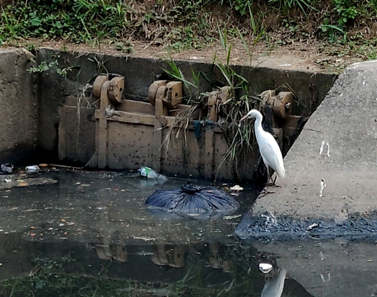 Denuncia ciudadana. Canal con nivel alto y parquedaderos ilegales.