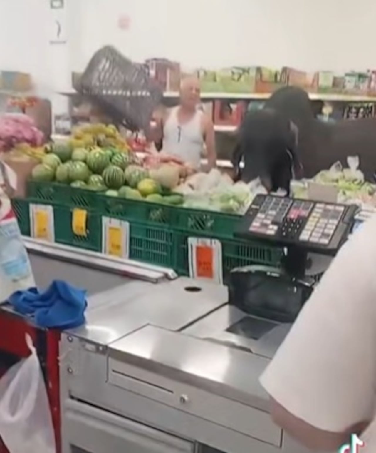 Con total calma, el animal se dirige directo a la sección de frutas del supermercado, captando todas las miradas.