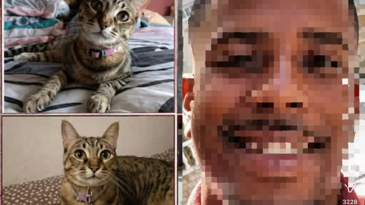Asesinato de Nala