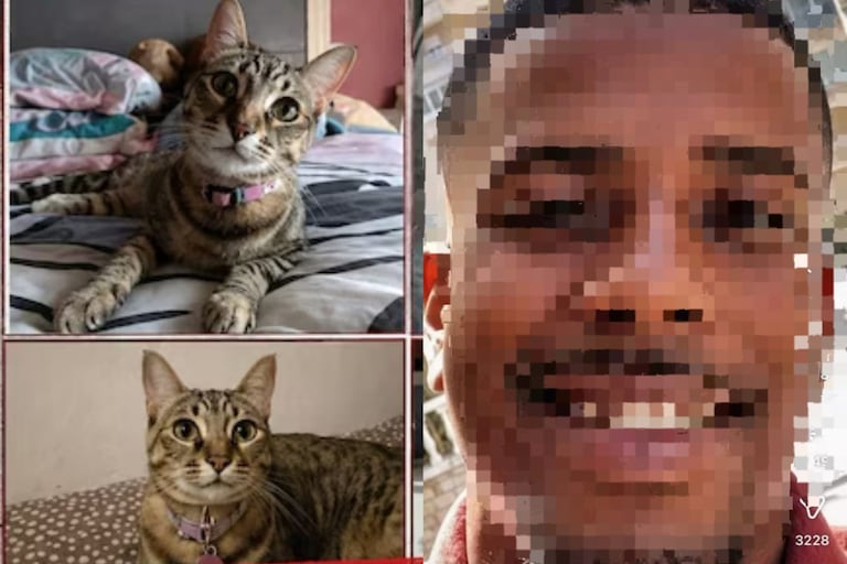 Asesinato de Nala