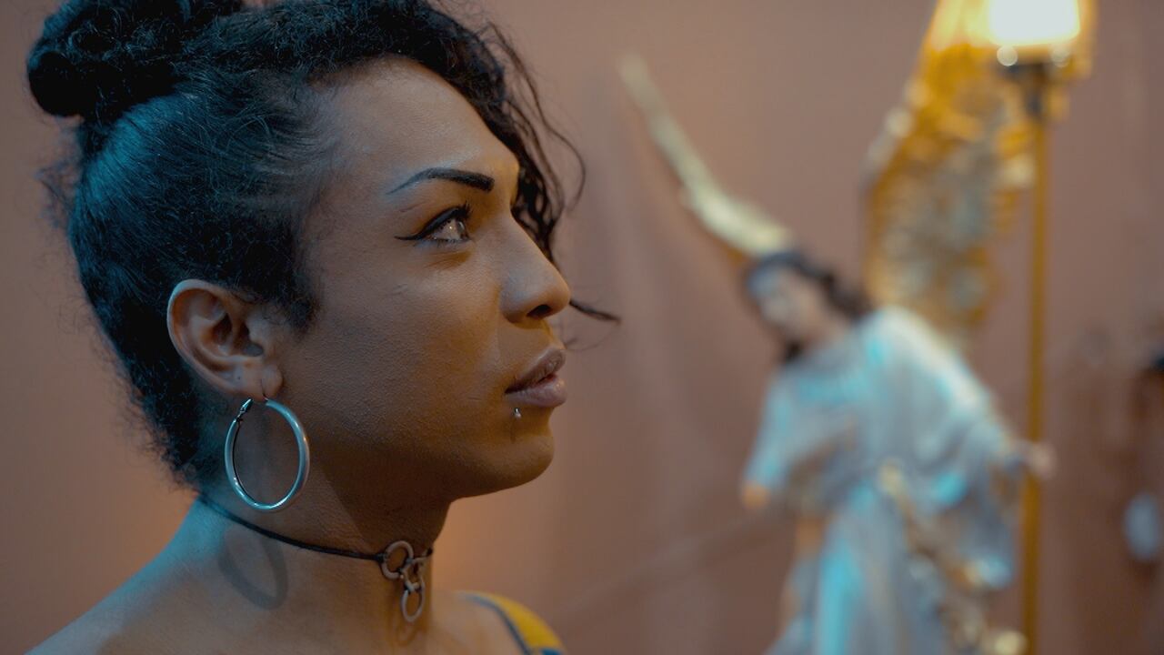 Vuelos de mariposa / Telepacífico