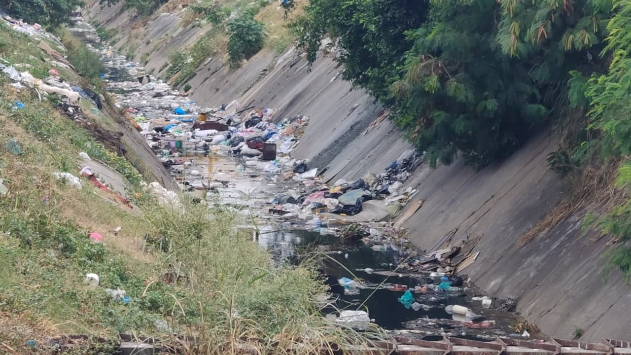 Los separadores de las calles 25 y 26, en inmediaciones de la galería Santa Elena, continúan siendo puntos de acumulación de residuos pese a las jornadas de limpieza realizadas en el sector.
