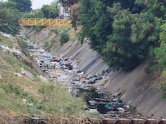 Los separadores de las calles 25 y 26, en inmediaciones de la galería Santa Elena, continúan siendo puntos de acumulación de residuos pese a las jornadas de limpieza realizadas en el sector.