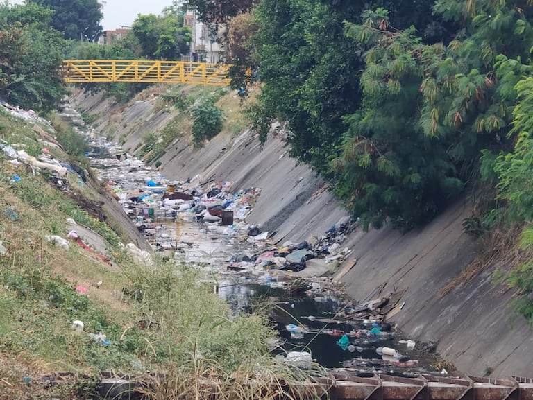 Los separadores de las calles 25 y 26, en inmediaciones de la galería Santa Elena, continúan siendo puntos de acumulación de residuos pese a las jornadas de limpieza realizadas en el sector.