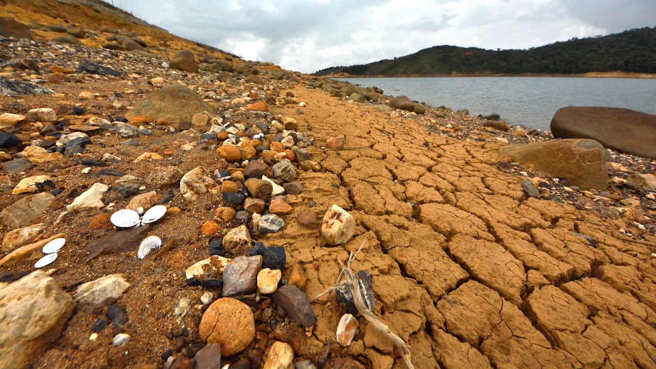 El fenómeno del Niño no solo ha cambiado la intensidad de los fenómenos meteorológicos, sino que también ha cambiado los paisajes naturales, como pasa con el Lago Calima en el Valle del Cauca. En las orillas de este gran lago artificial, se nota la disminución en el nivel de sus aguas