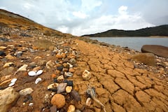 El fenómeno del Niño no solo ha cambiado la intensidad de los fenómenos meteorológicos, sino que también ha cambiado los paisajes naturales, como pasa con el Lago Calima en el Valle del Cauca. En las orillas de este gran lago artificial, se nota la disminución en el nivel de sus aguas