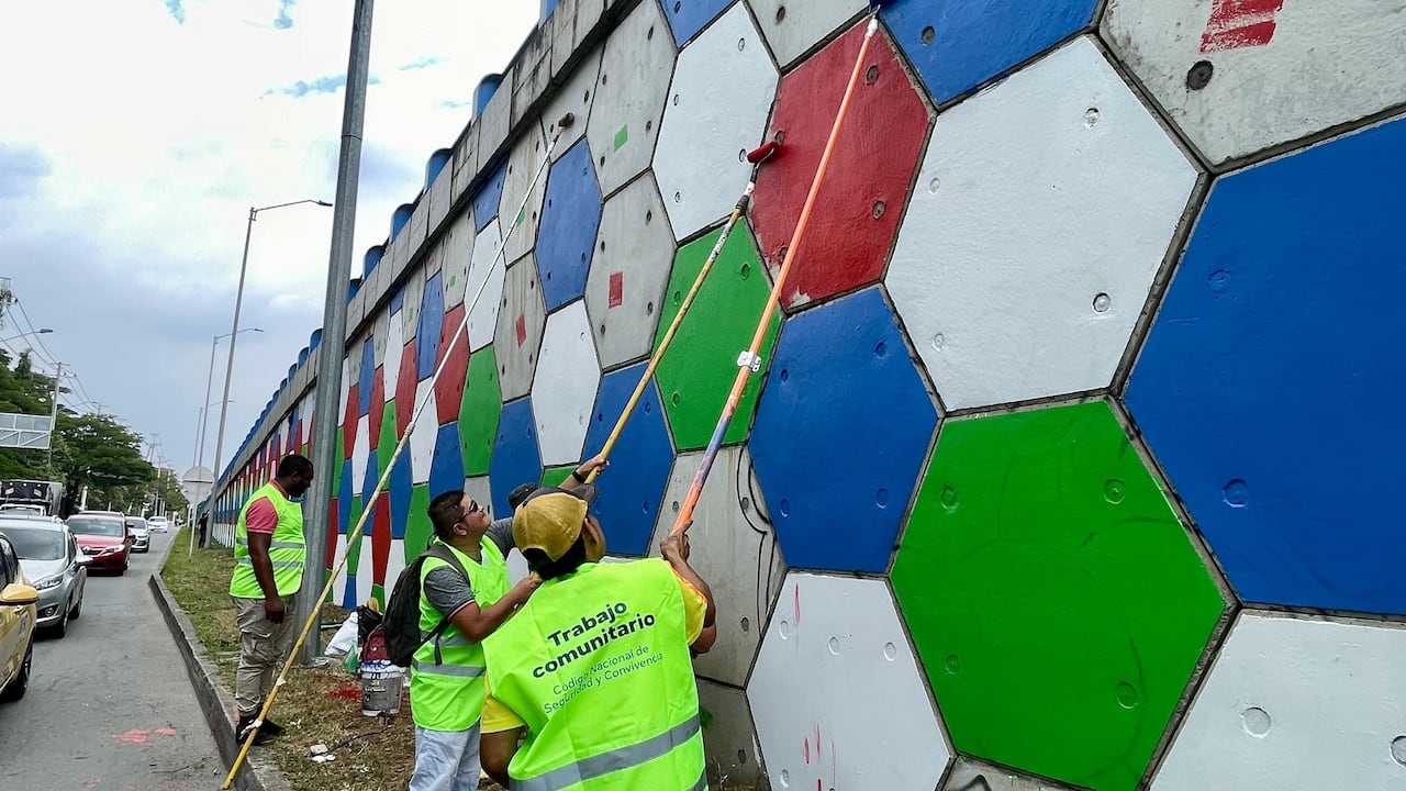 Los infractores pueden saldar o conmutar las sanciones a través de trabajos comunitarios y de embellecimiento de la ciudad.