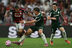 Palmeiras vs. Flamengo
