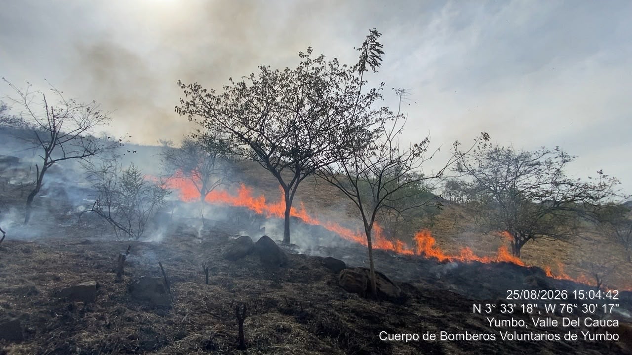 El incendio de cobertura vegetal se registra en la zona montañosa de Ciudad Guabinas, frente a la Unidad Peñón.
