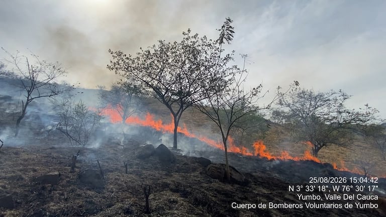 El incendio de cobertura vegetal se registra en la zona montañosa de Ciudad Guabinas, frente a la Unidad Peñón.