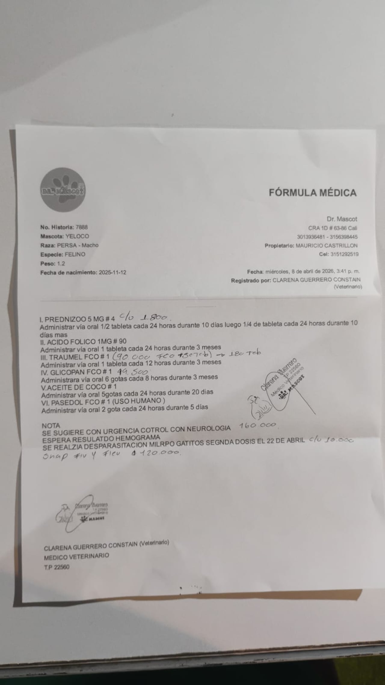 Orden actualizada de Yeloko.