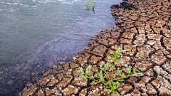 El fenómeno de El Niño afecta a varias regiones del país.