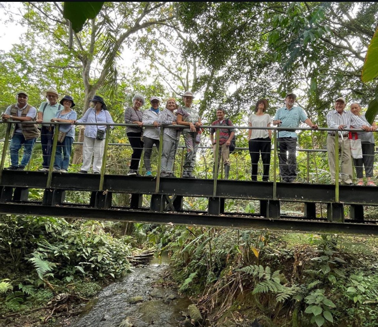 El humedal está ubicado al sur de la ciudad.