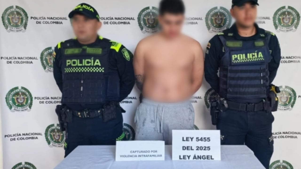 La perrita de cinco meses murió por el impacto, mientras que el agresor enfrenta cargos por violencia intrafamiliar bajo los alcances de la Ley Ángel.