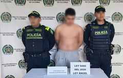 La perrita de cinco meses murió por el impacto, mientras que el agresor enfrenta cargos por violencia intrafamiliar bajo los alcances de la Ley Ángel.