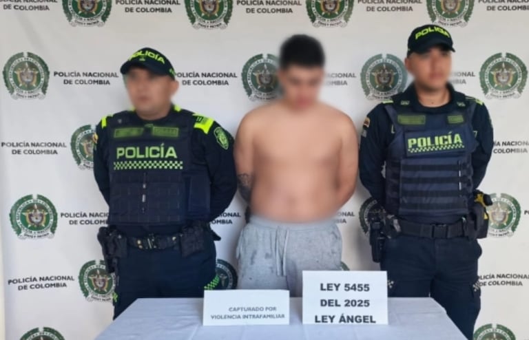 La perrita de cinco meses murió por el impacto, mientras que el agresor enfrenta cargos por violencia intrafamiliar bajo los alcances de la Ley Ángel.