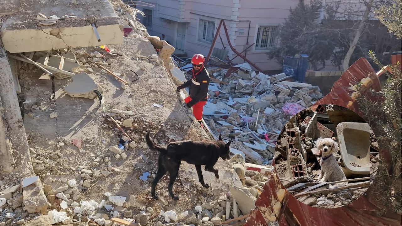 Terremoto en Venezuela.