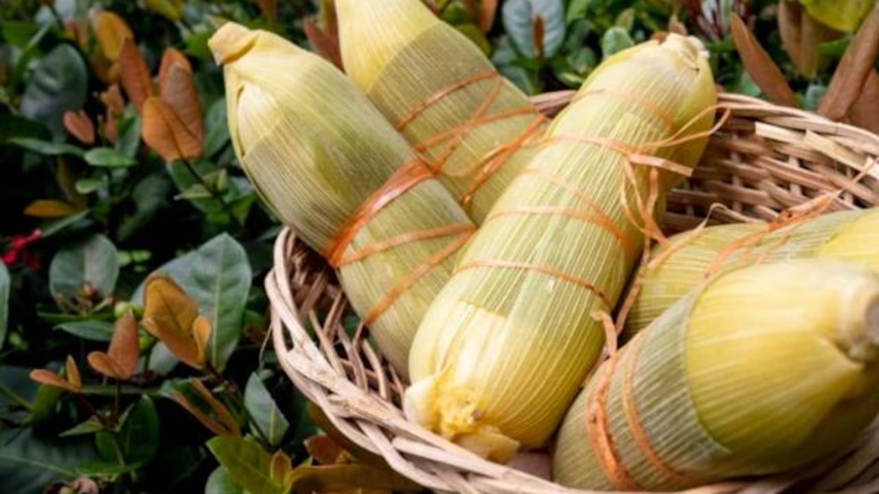 Bollo de maíz y yuca.
