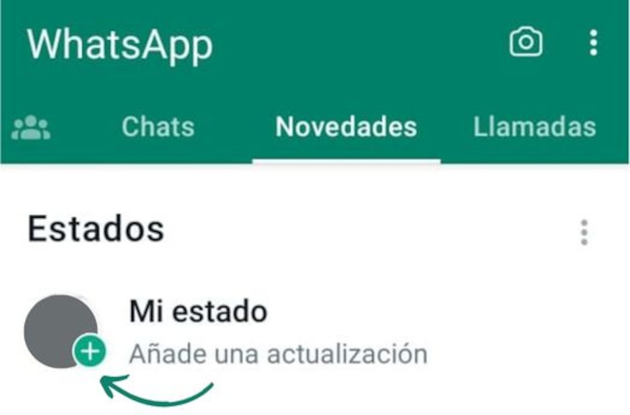 Presiona el círculo con el (+) para agregar un estado de WhatsApp.