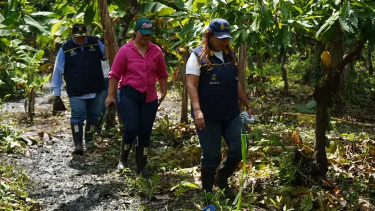 Gestión del Riesgo llegó hasta la zona.