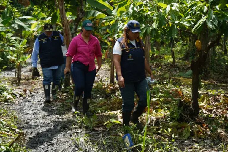 Gestión del Riesgo llegó hasta la zona.