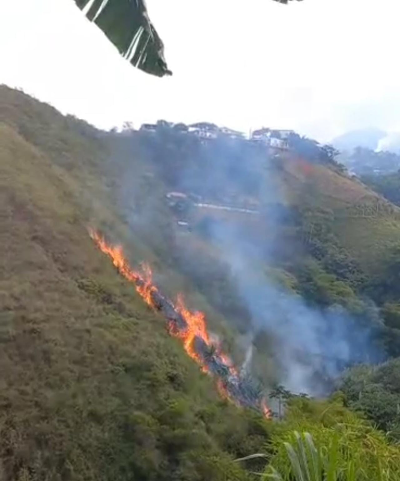 Al menos 10 hectáreas de vegetación fueron consumidas por el incendio forestal.