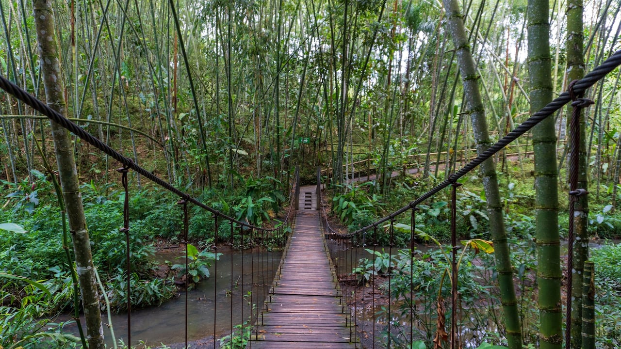 Estos parques temáticos son ideales para recorrer en familia.