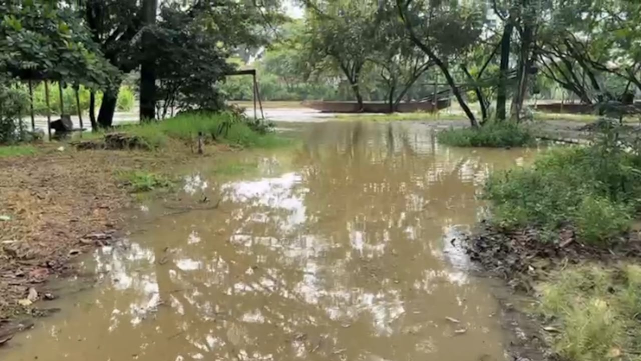La creciente del río Cauca ha generado inundaciones en barrios y asentamientos en Cali.