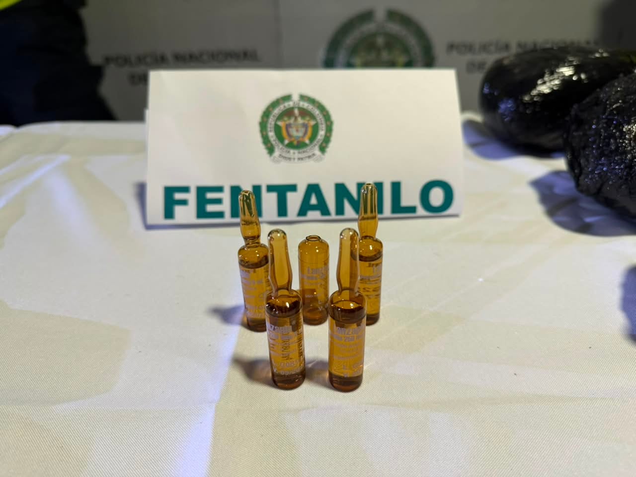 Los 15 kilogramos de heroína, ampolletas de fentanilo y 500 cartuchos hallados por las autoridades en la zona rural de Buesaco, Nariño.