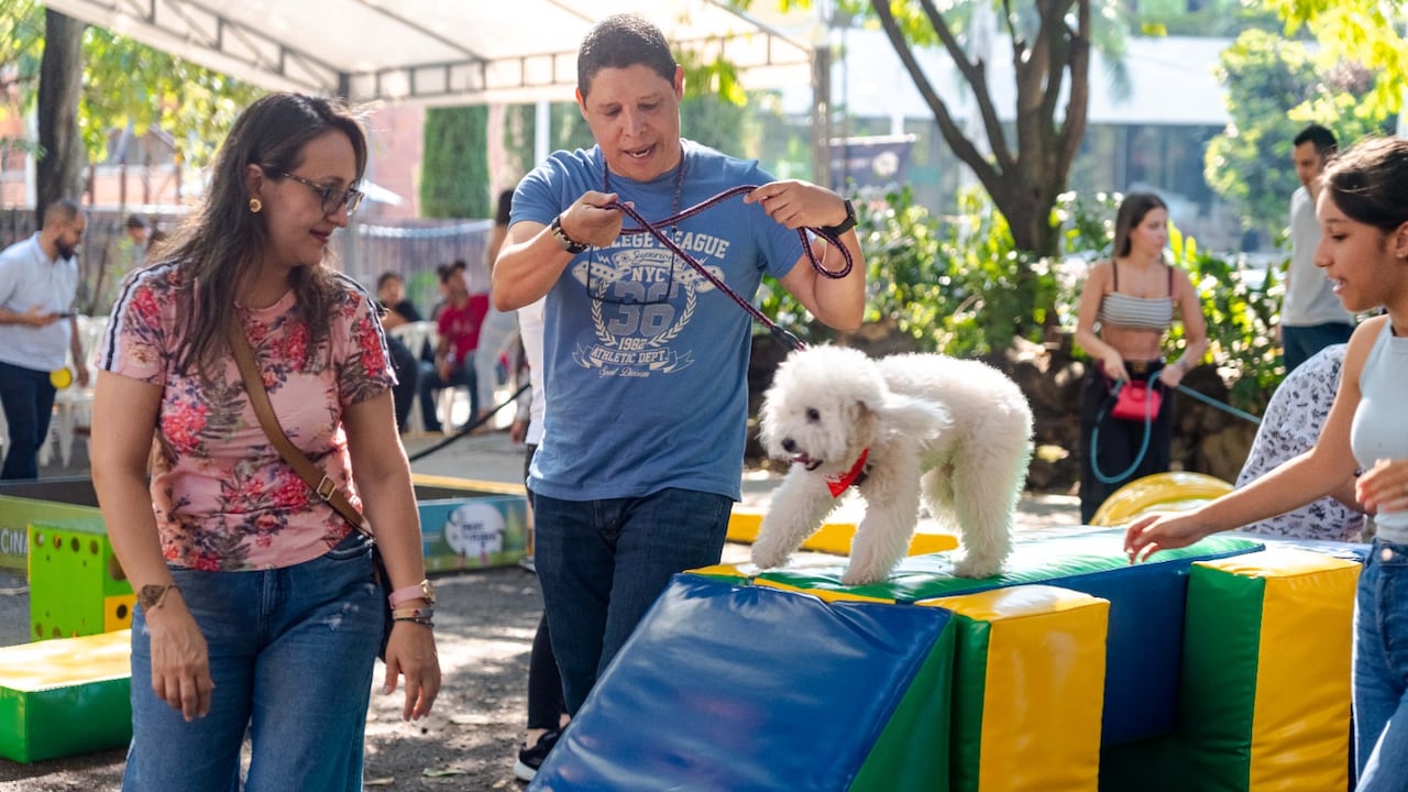 Los perros serán protagonistas de la Pasarela Pet, una de las actividades programadas para el domingo 30 de agosto en Unicentro Cali.