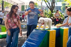 Los perros serán protagonistas de la Pasarela Pet, una de las actividades programadas para el domingo 30 de agosto en Unicentro Cali.