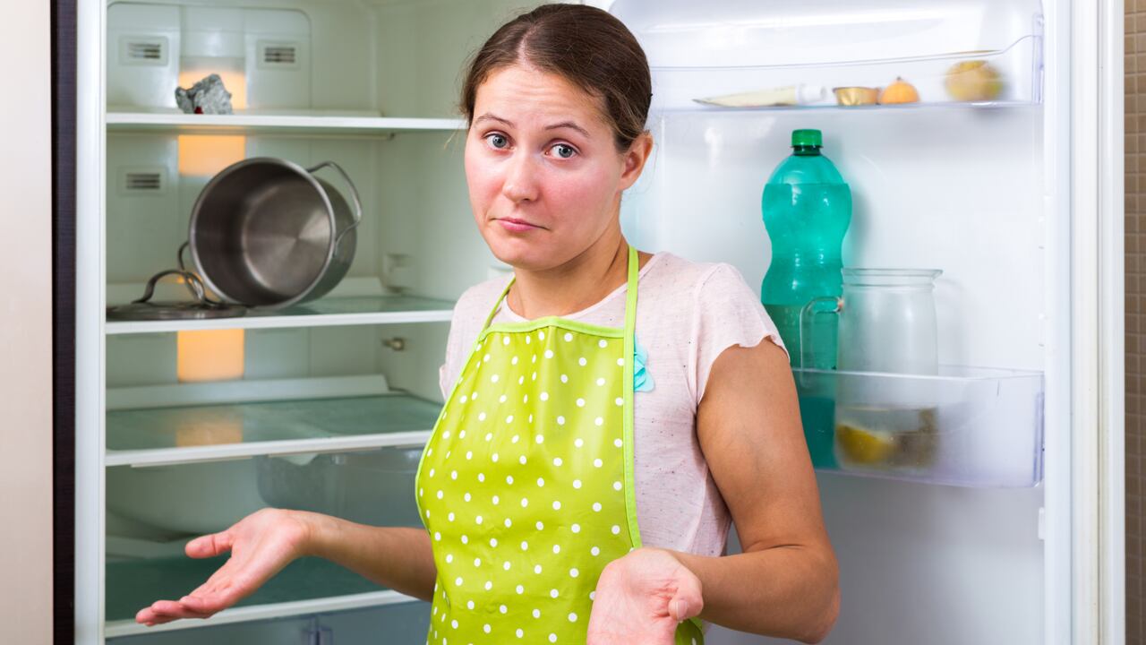 La nevera puede presentar fallas que se pueden solucionar a tiempo.