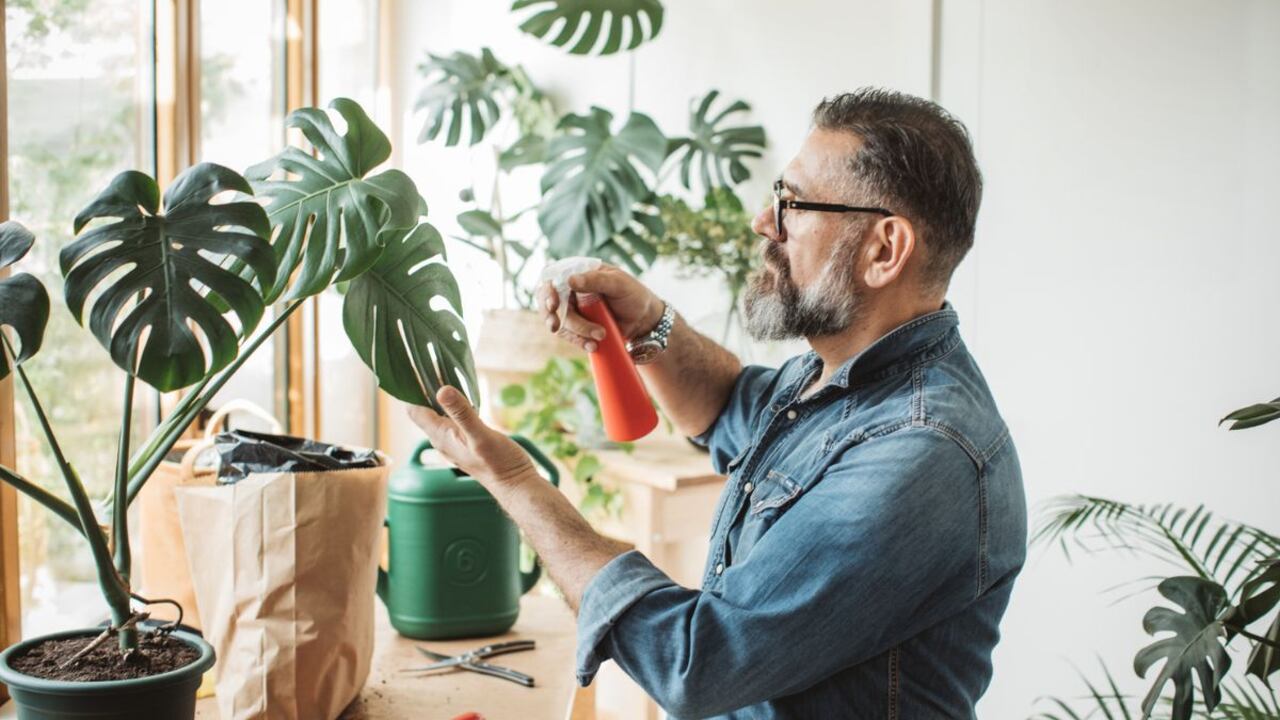 Por esto se doblan algunas plantas.