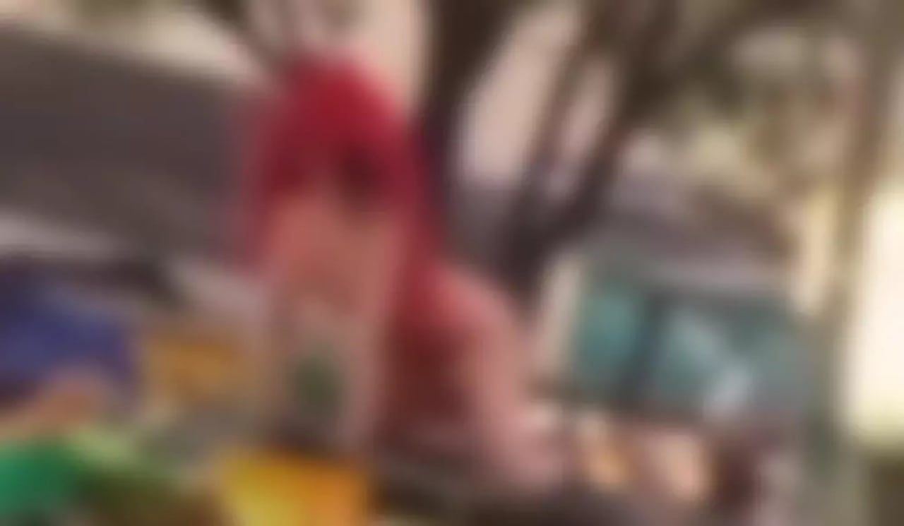 Una mujer apareció desnuda en el desfile de Carnaval de Barranquilla, generando polémica.