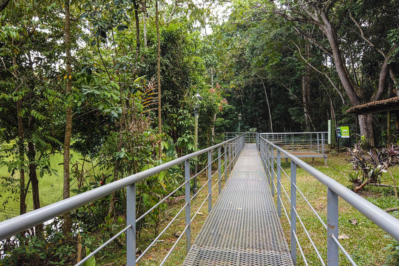 Reportaje gráfico. Humedales de Cali. Lago de las Garzas.