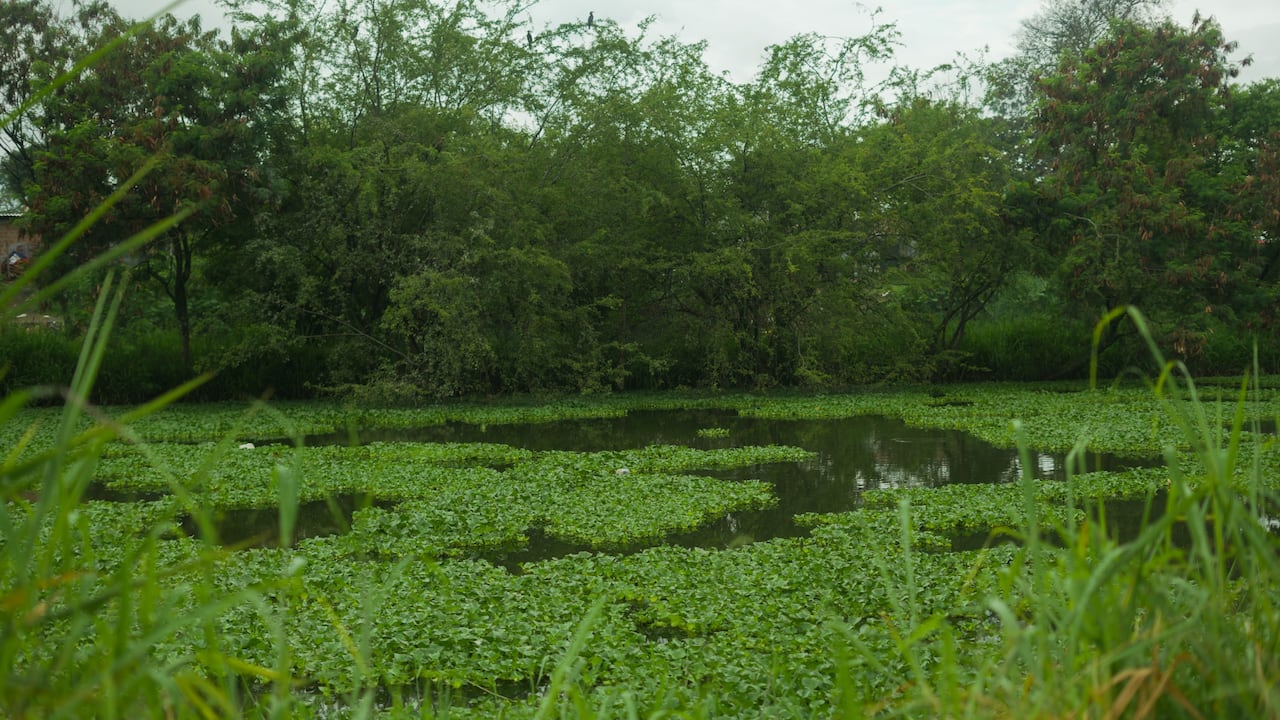 Laguna Charco Azul Cali