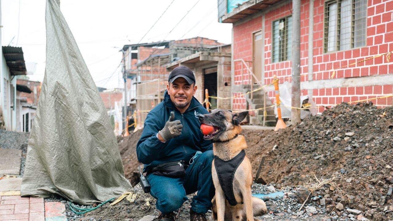 Merlín hace parte de la patrulla canina del grupo de Emergencias de Gases de Occidente.