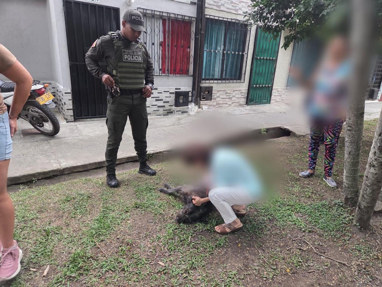Momento en el que las autoridades hace presencia en Palmiras tras la muerte de un animal.