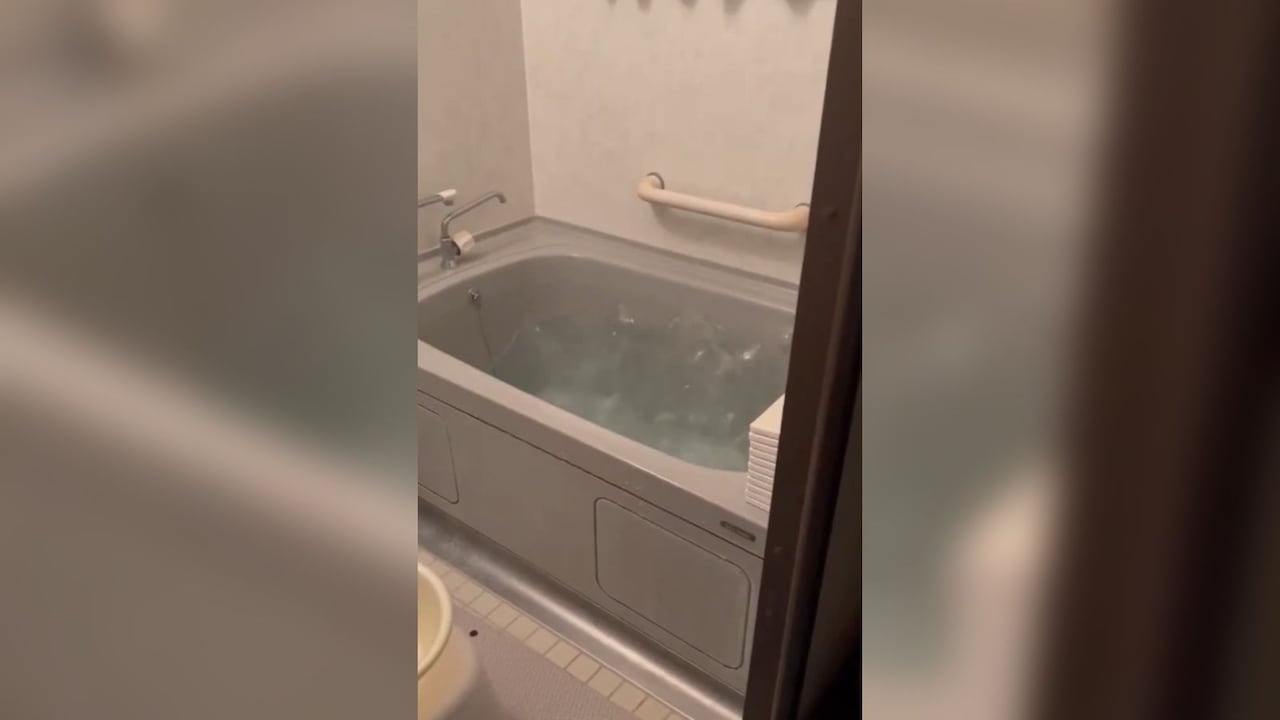 Los internautas registraron el fuerte temblor en Japón.