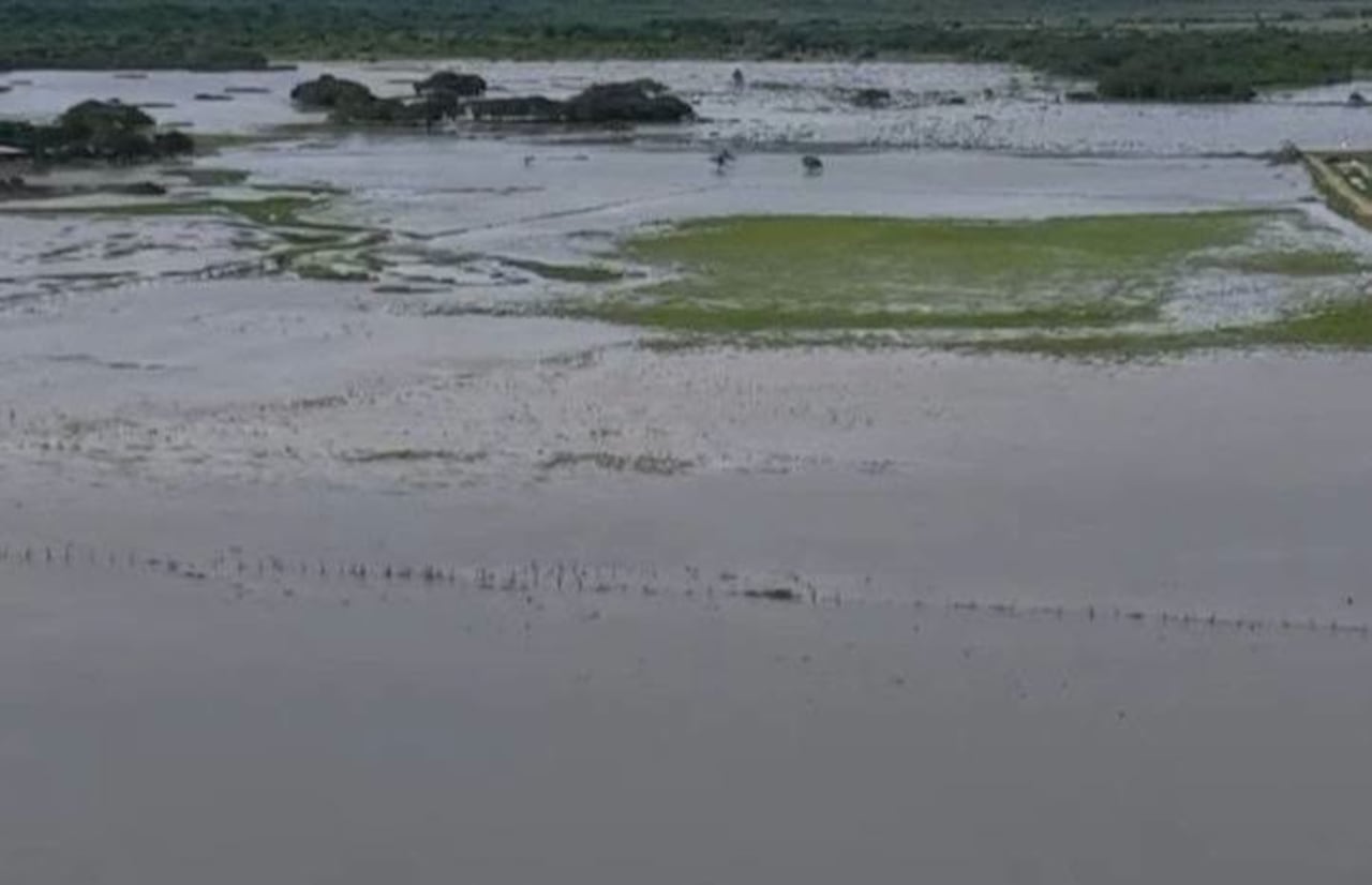 Las intensas lluvias que afectan al oriente de Colombia siguen agravando la emergencia en los departamentos de Arauca y Casanare. De acuerdo con la Unidad Nacional para la Gestión del Riesgo de Desastres (UNGRD), en Arauca ya se registran más de 9.000 familias afectadas por las inundaciones, mientras que en Casanare los 19 municipios presentan impactos por la temporada invernal, con comunidades aisladas, viviendas bajo el agua y daños en infraestructura que obligan a reforzar las labores de atención.