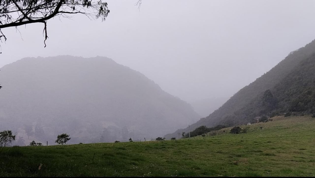 Por la emisión de ceniza de la denominad “montaña de fuego” se ha presentado en la zona contaminación de fuentes hídricas, cultivos como fresa y tomate, enfermedad en el ganado por el consumo del forraje contaminado con ceniza, entre otras afectaciones.