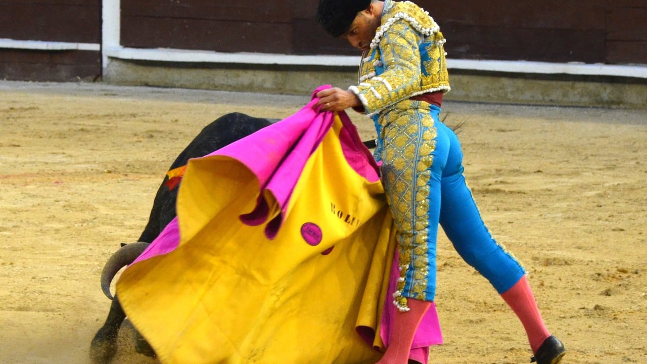 Luis Bolívar en plena expresión de su línea artística con el ruedo de Cañaveralejo como escenario.