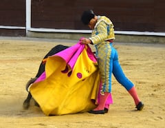 Luis Bolívar en plena expresión de su línea artística con el ruedo de Cañaveralejo como escenario.